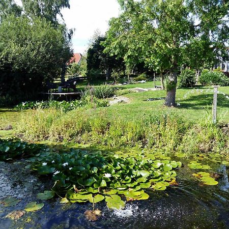 "Balmgarten" Im Naturpark Usedom, Bio Solarhaus Mit Grossem Garten Ngoại thất bức ảnh