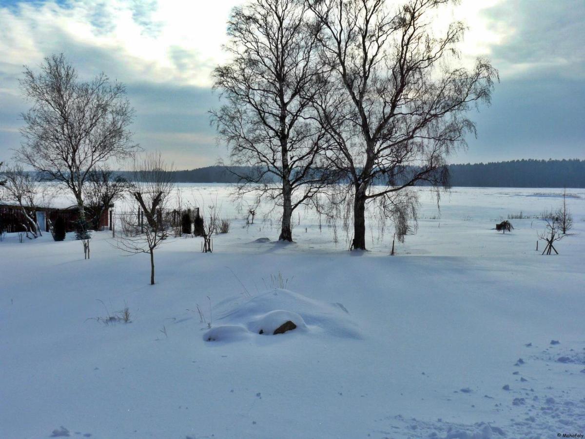 "Balmgarten" Im Naturpark Usedom, Bio Solarhaus Mit Grossem Garten Ngoại thất bức ảnh