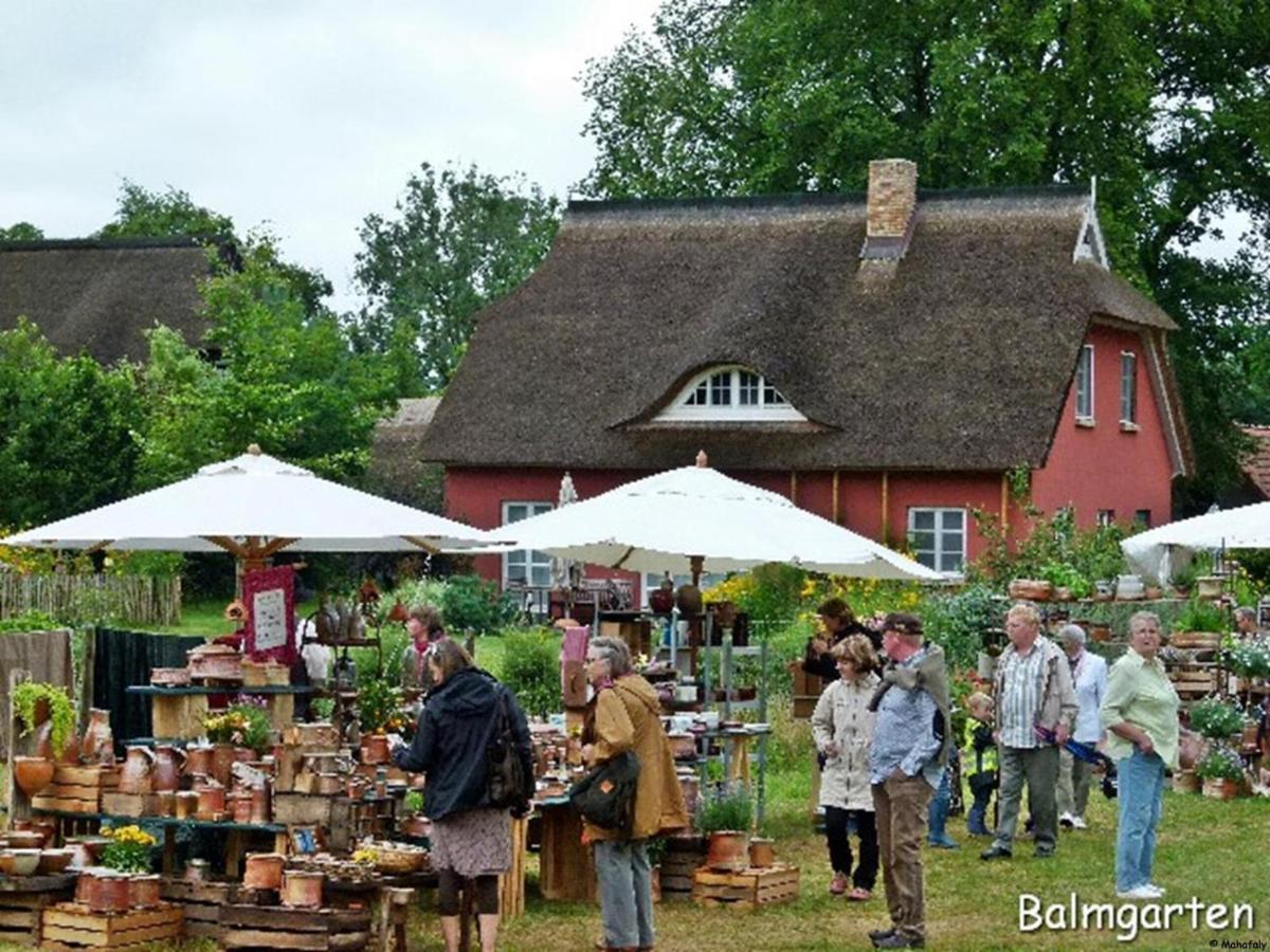 "Balmgarten" Im Naturpark Usedom, Bio Solarhaus Mit Grossem Garten Ngoại thất bức ảnh