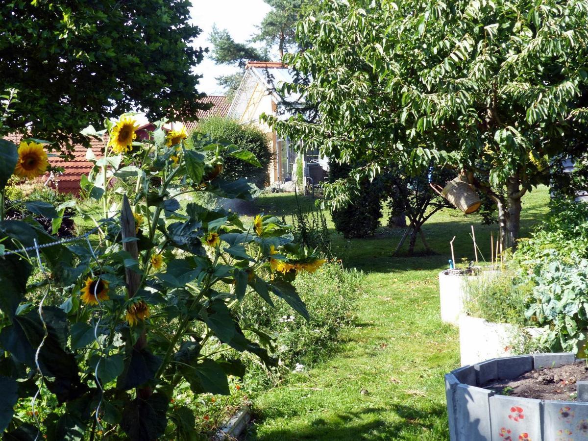 "Balmgarten" Im Naturpark Usedom, Bio Solarhaus Mit Grossem Garten Ngoại thất bức ảnh