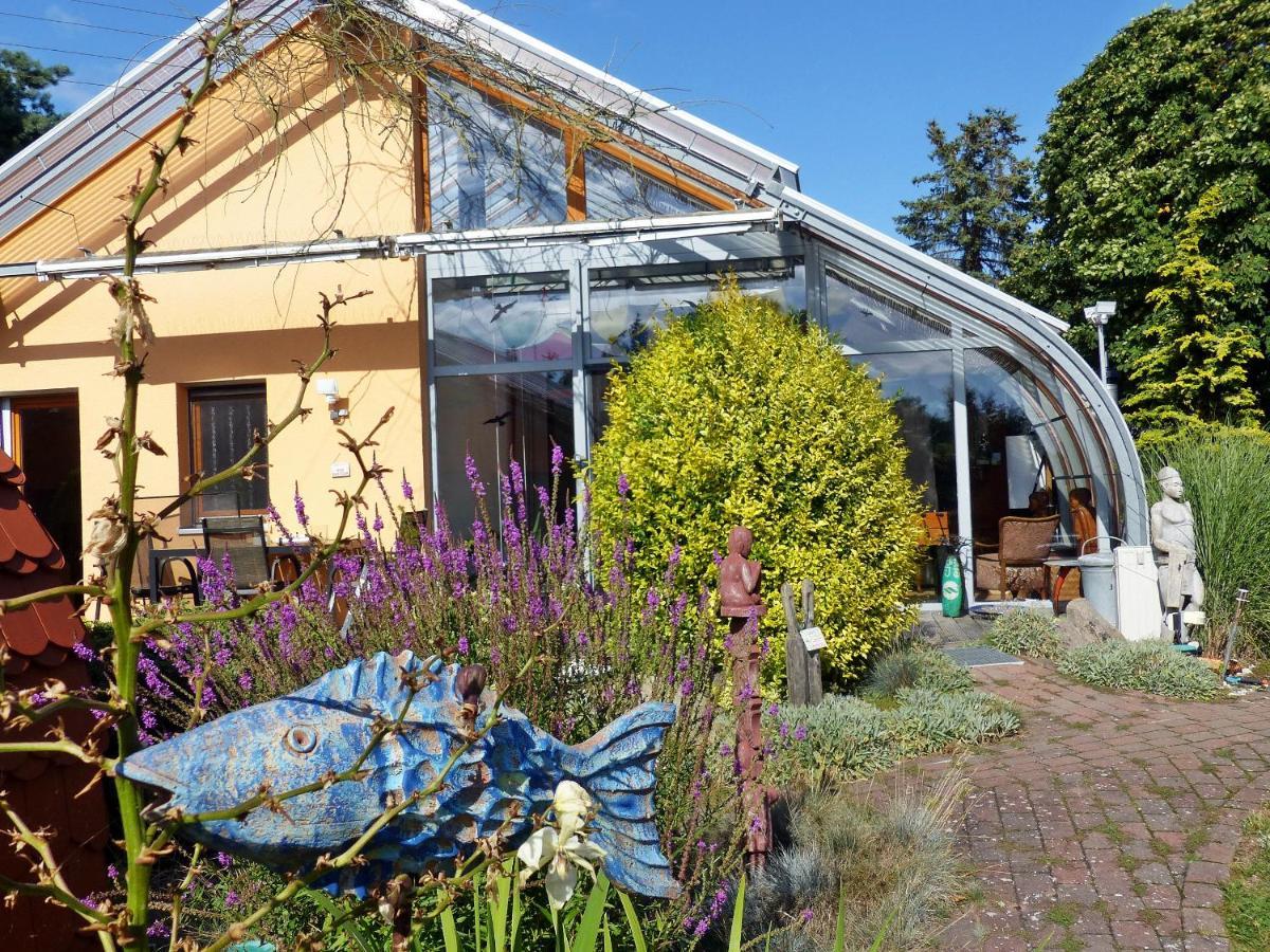 "Balmgarten" Im Naturpark Usedom, Bio Solarhaus Mit Grossem Garten Ngoại thất bức ảnh