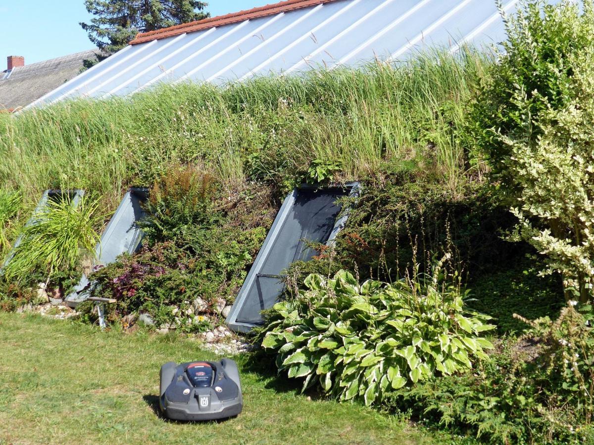 "Balmgarten" Im Naturpark Usedom, Bio Solarhaus Mit Grossem Garten Ngoại thất bức ảnh