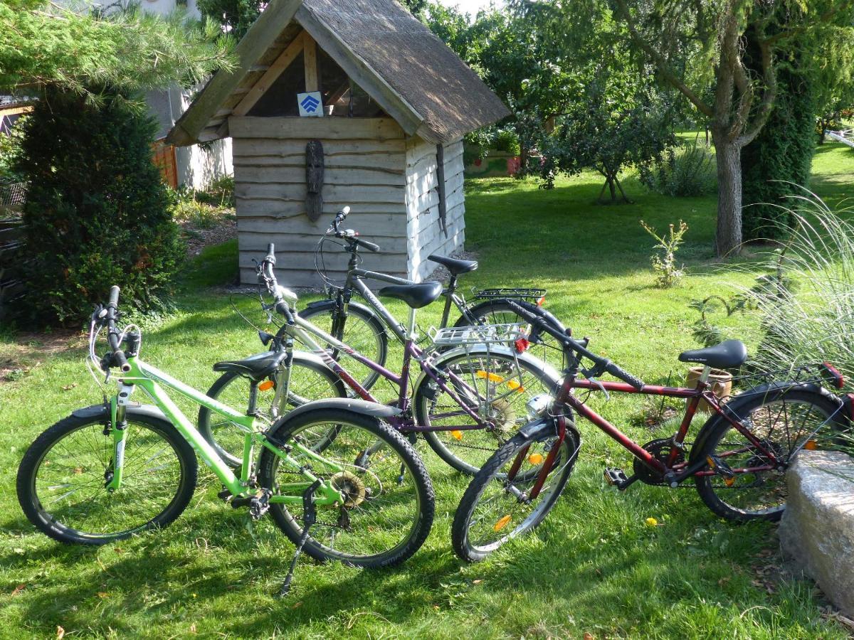 "Balmgarten" Im Naturpark Usedom, Bio Solarhaus Mit Grossem Garten Ngoại thất bức ảnh