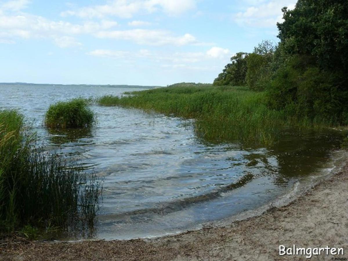 "Balmgarten" Im Naturpark Usedom, Bio Solarhaus Mit Grossem Garten Ngoại thất bức ảnh