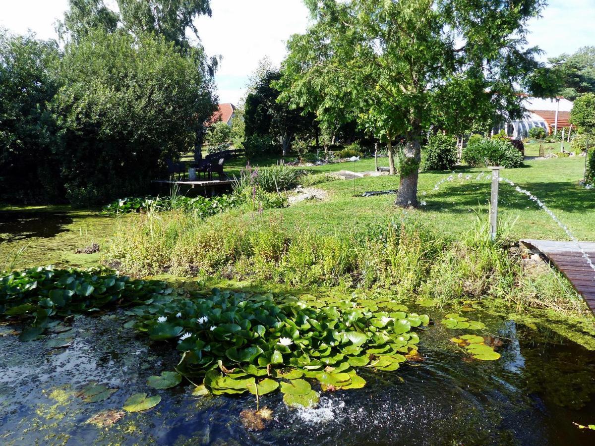 "Balmgarten" Im Naturpark Usedom, Bio Solarhaus Mit Grossem Garten Ngoại thất bức ảnh